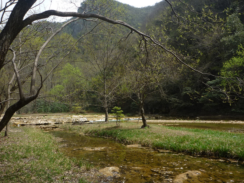 p1110189_.jpg