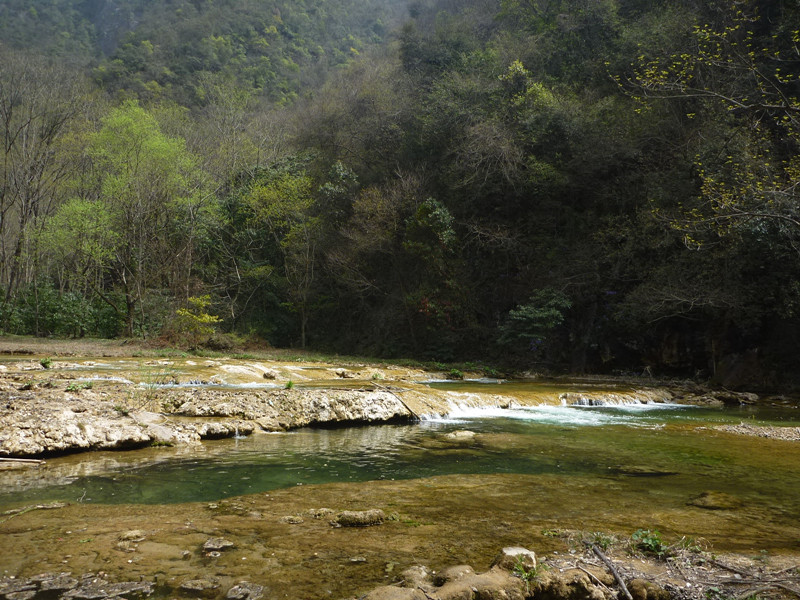 p1110190_.jpg