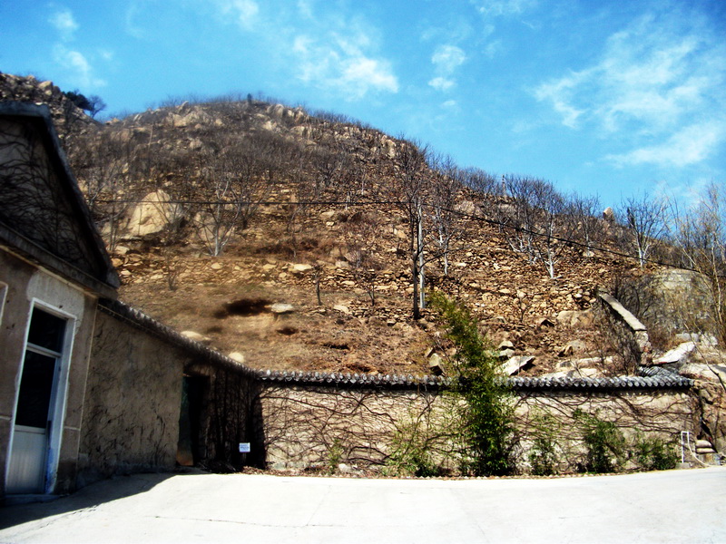 dscf0145.jpg