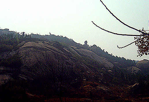 dsc03441_.jpg