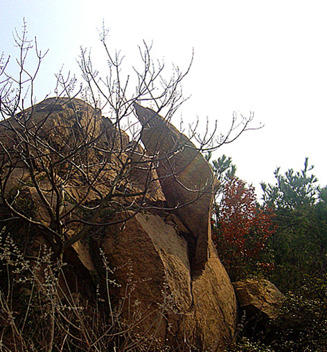 dsc03449_.jpg
