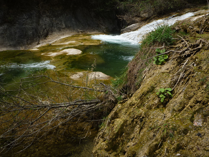 p1110198_.jpg
