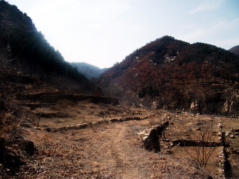 dscf0154.jpg