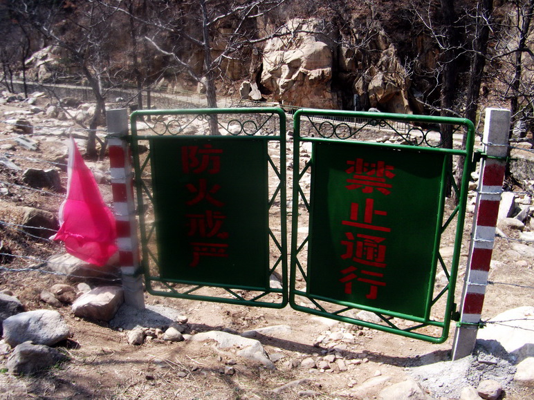 dscf0155.jpg