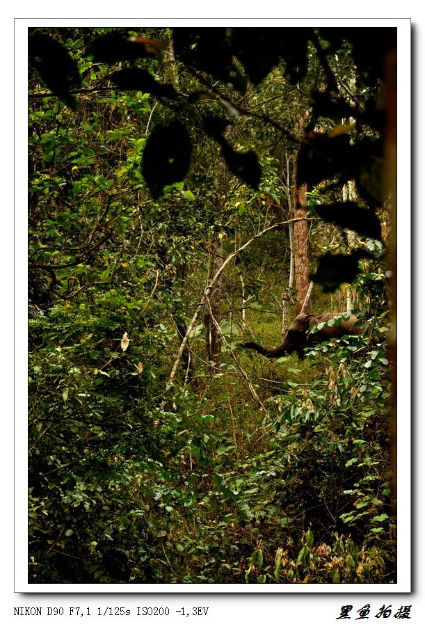 .֮ (94).jpg