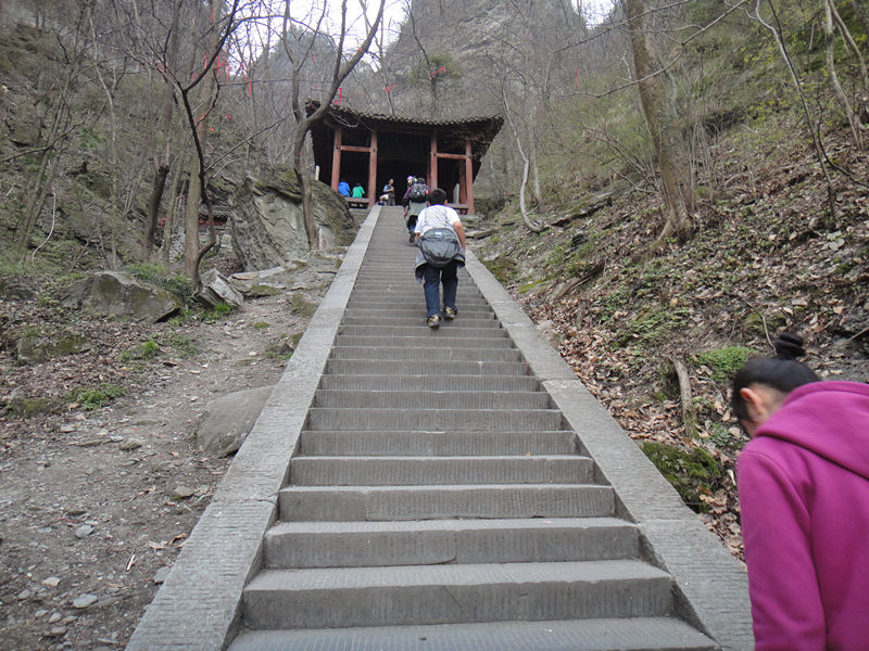 dsc00545_.jpg