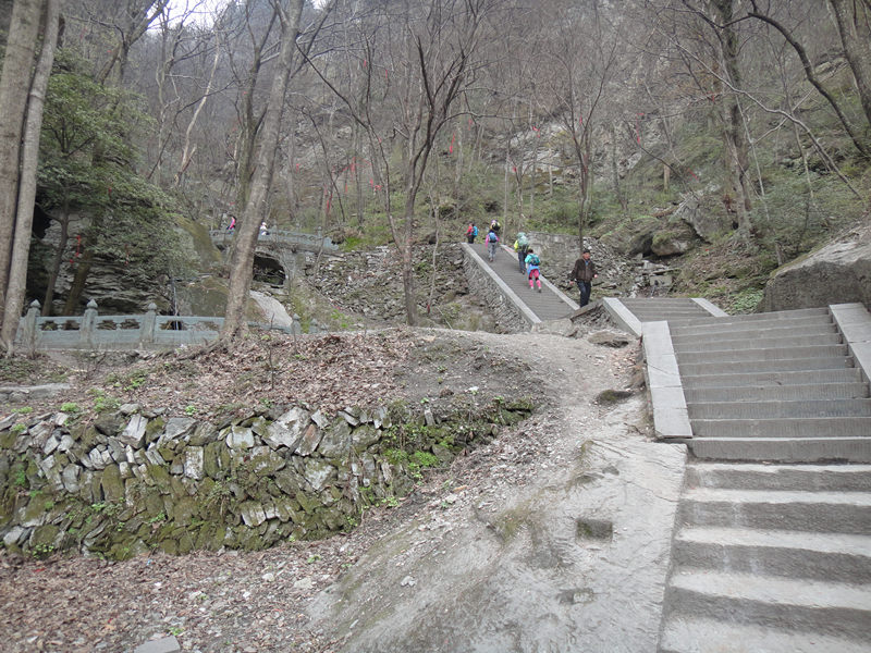 dsc00549_.jpg
