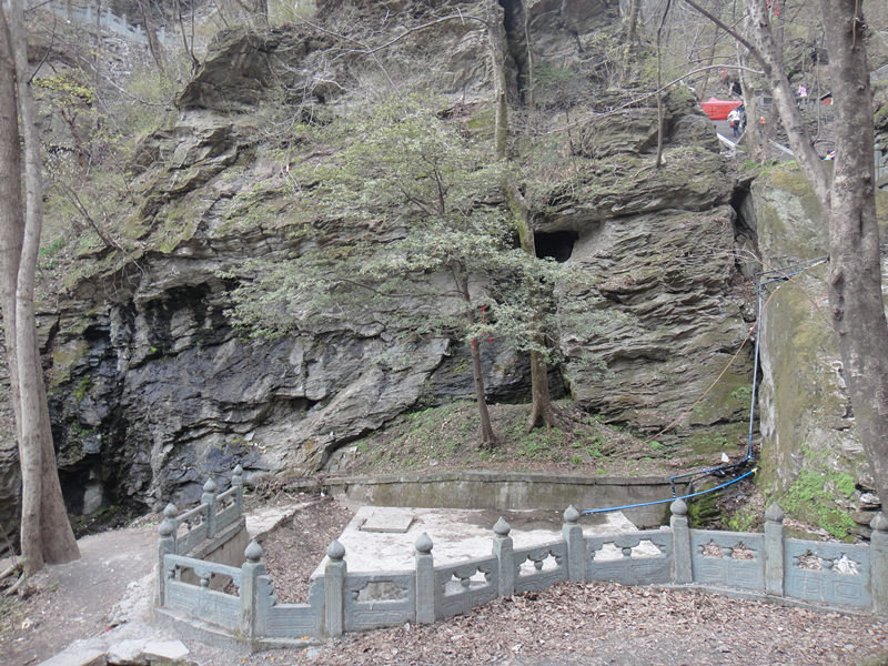 dsc00550_.jpg