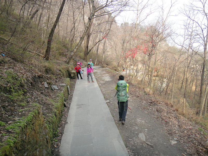 dsc00556_.jpg