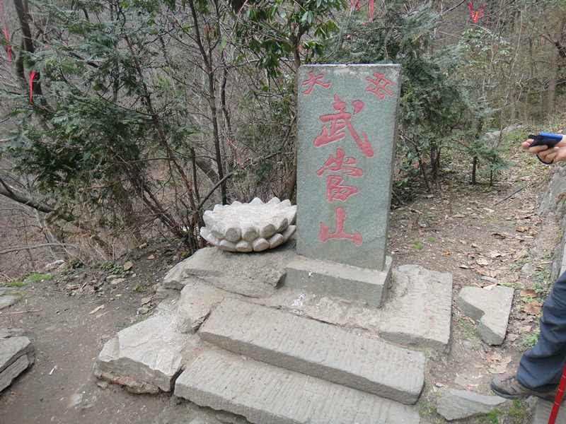 dsc00570_.jpg