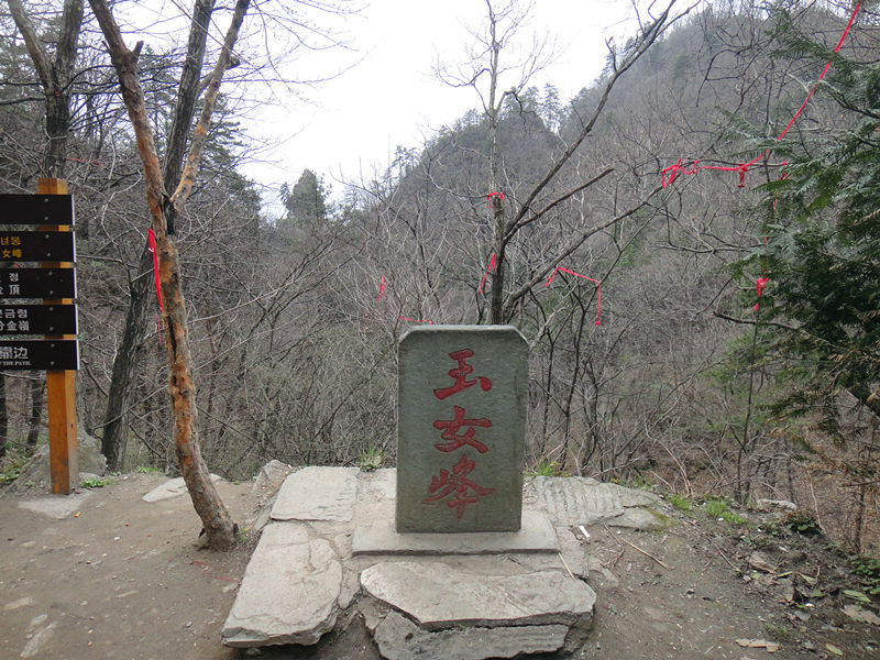 dsc00571_.jpg