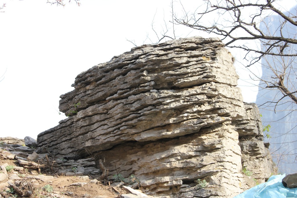 img_8772.jpg
