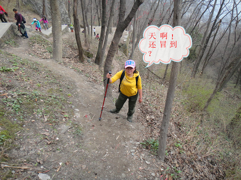 dsc00563_.jpg