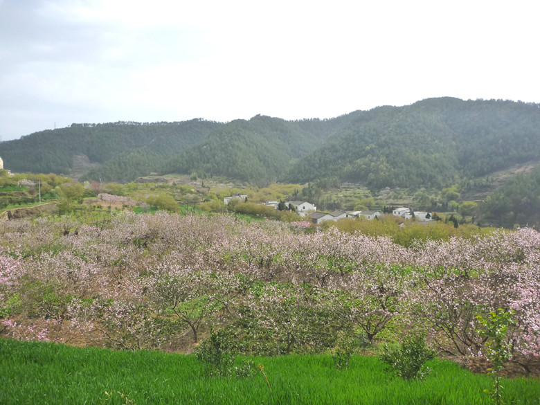 p1110223_.jpg