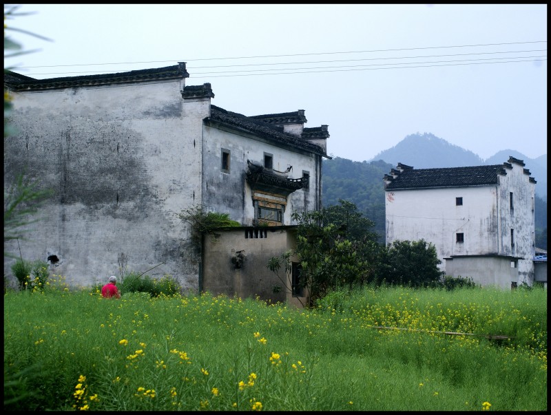 conew_徽杭探古 893_conew1.jpg