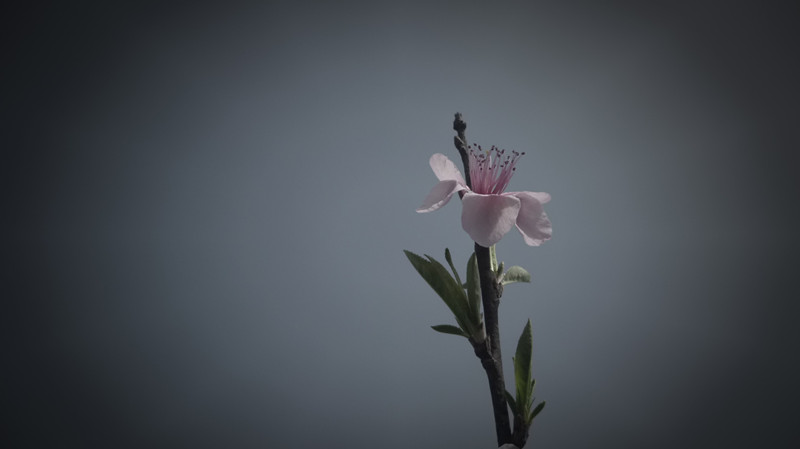 p1110229_.jpg