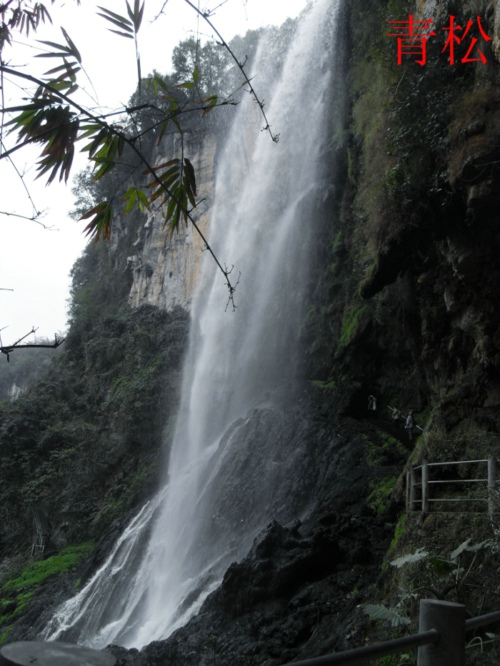 sdc10317.jpg