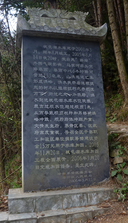 p1110236_.jpg