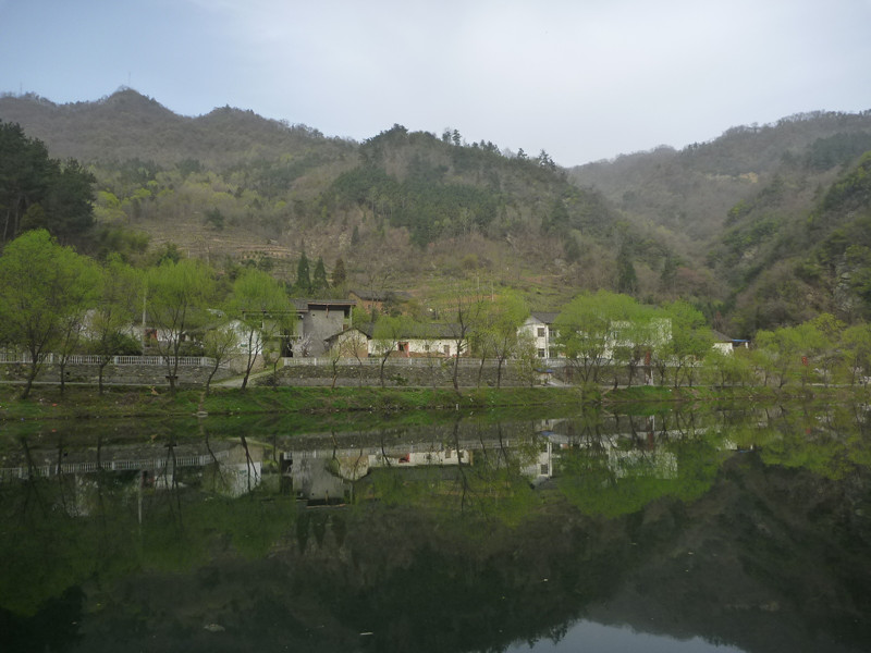 p1110234_.jpg