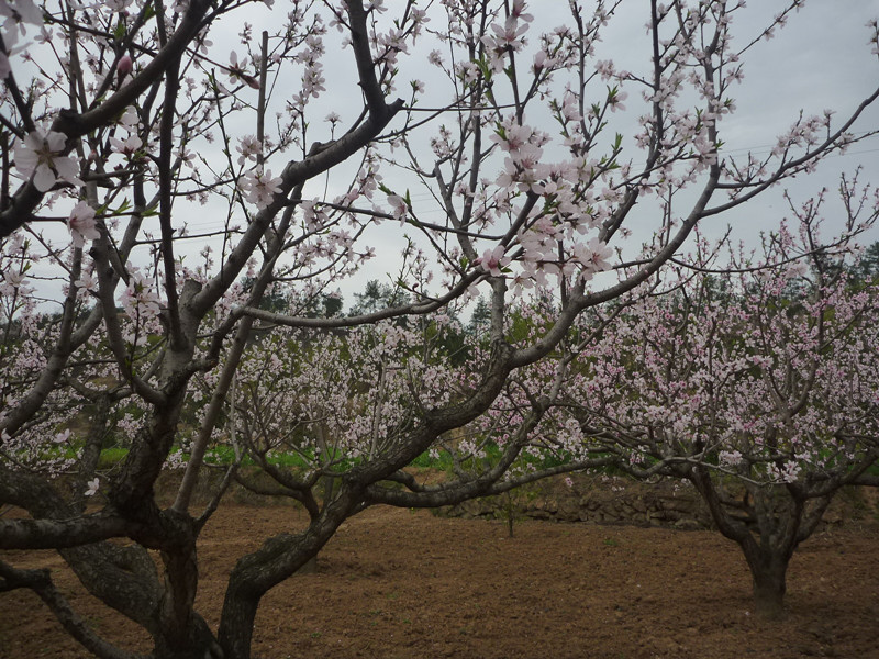 p1110214_.jpg