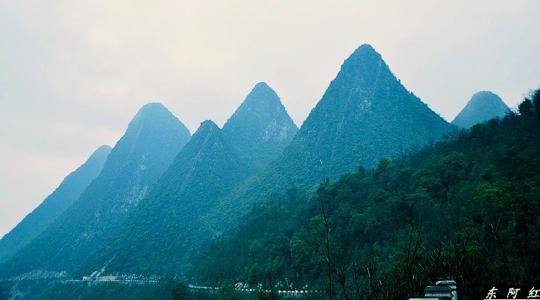 dsc_0969.jpg