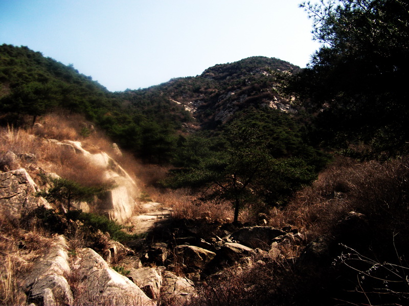 dscf0185.jpg