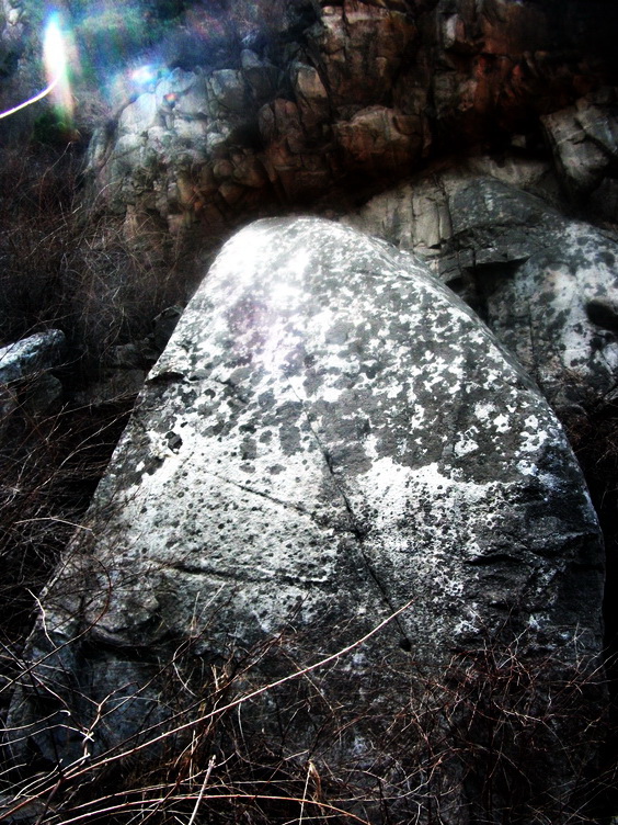 dscf0194.jpg