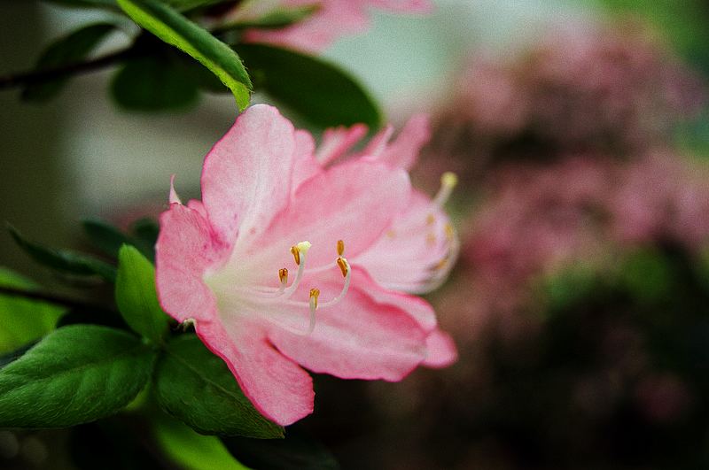 dsc09369.jpg