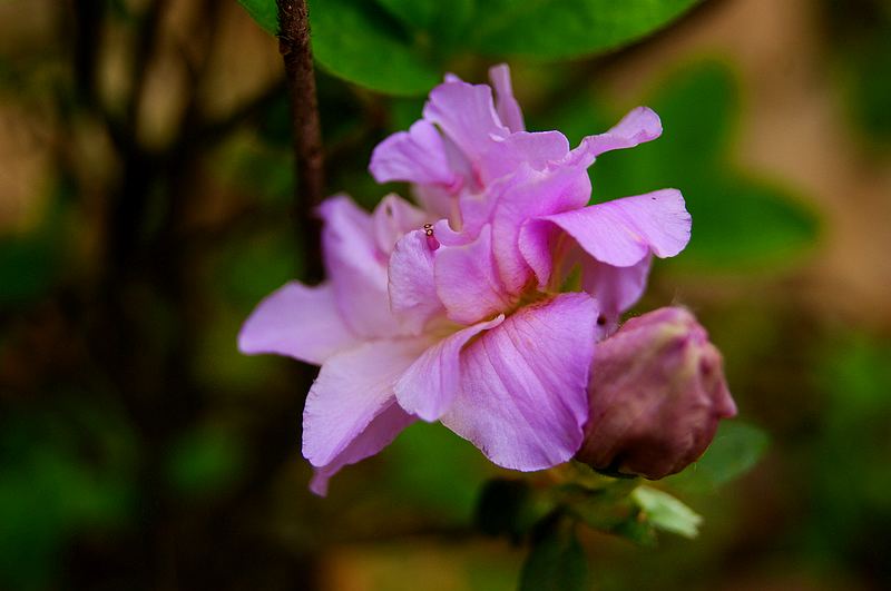 dsc09103.jpg