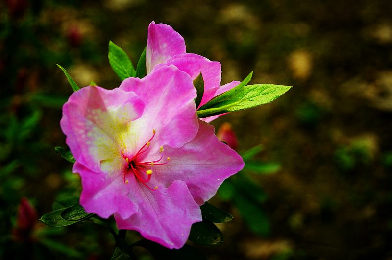 dsc09146.jpg