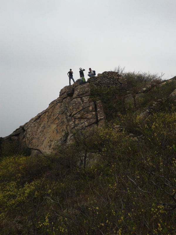 20124188245498746.jpg