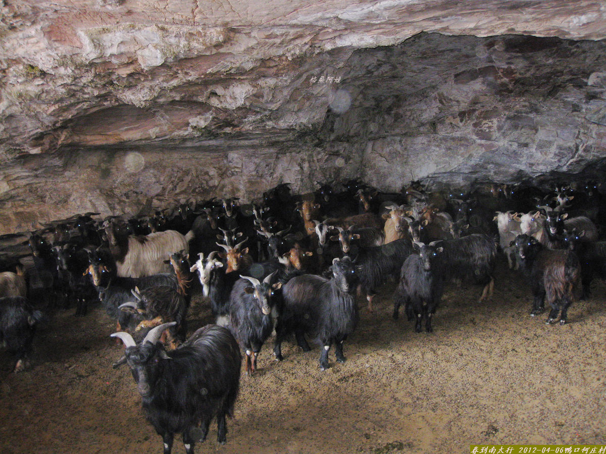 2012ȫӰ 032-1.jpg