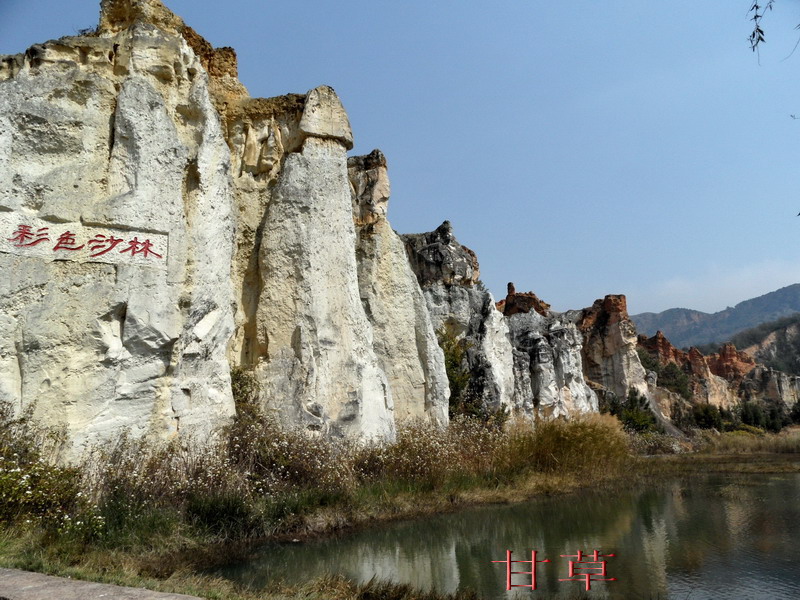 sam_7780_СС.jpg