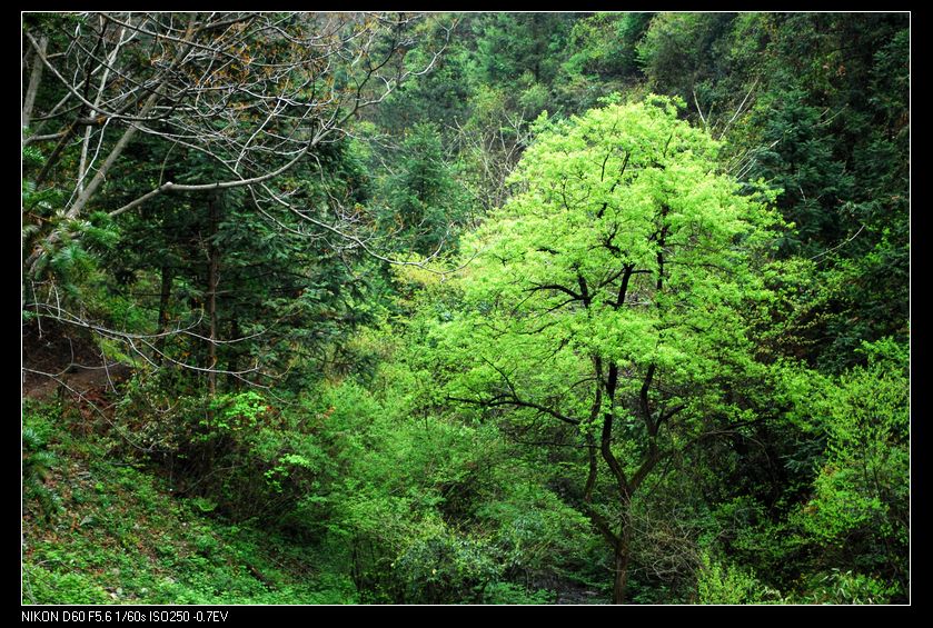 neo_img_պ֮ 035_conew1.jpg