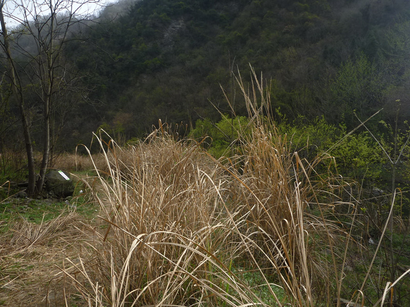 p1110245_.jpg
