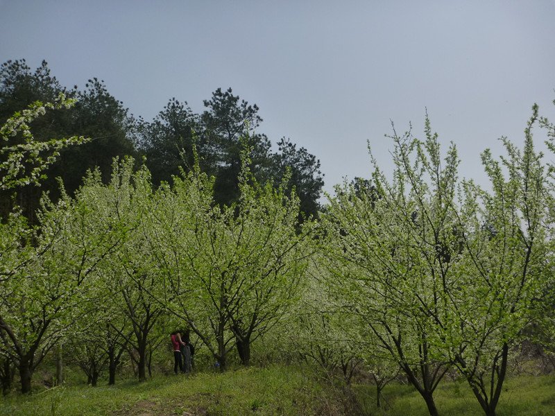 p1110251_.jpg