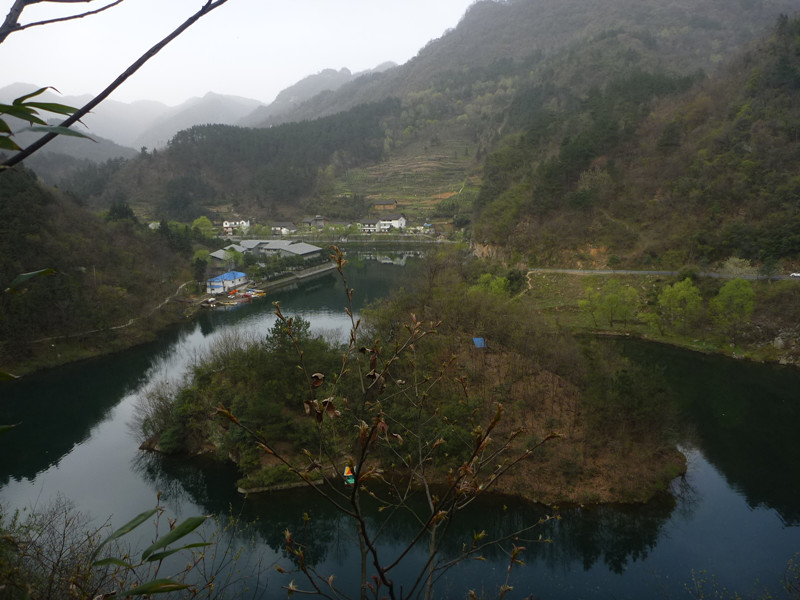 p1110243_.jpg