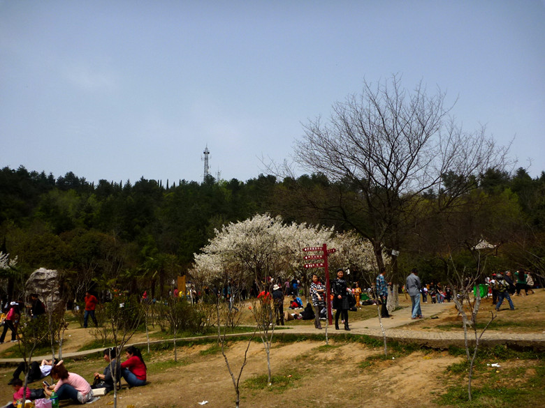 p1110263_.jpg