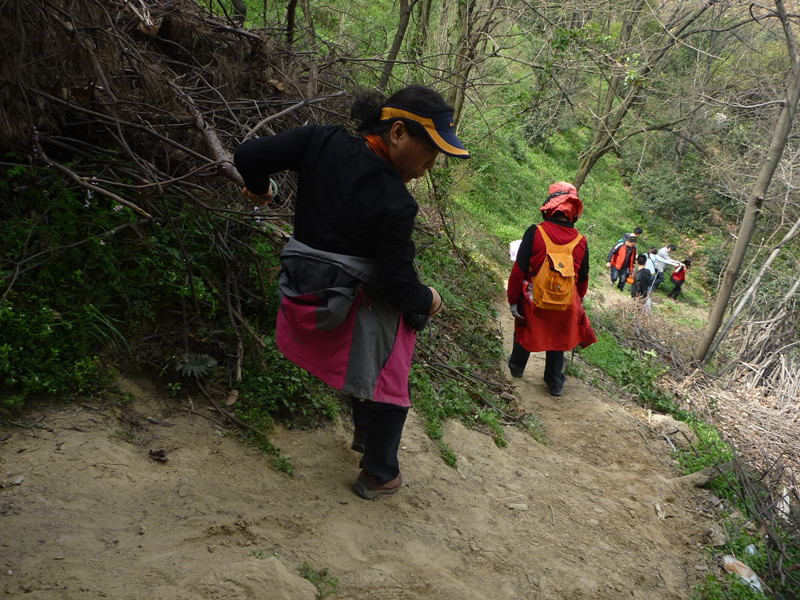 p1110268_.jpg