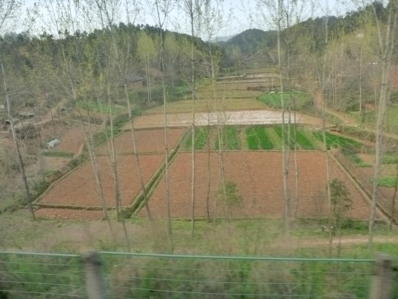 p1110273_.jpg
