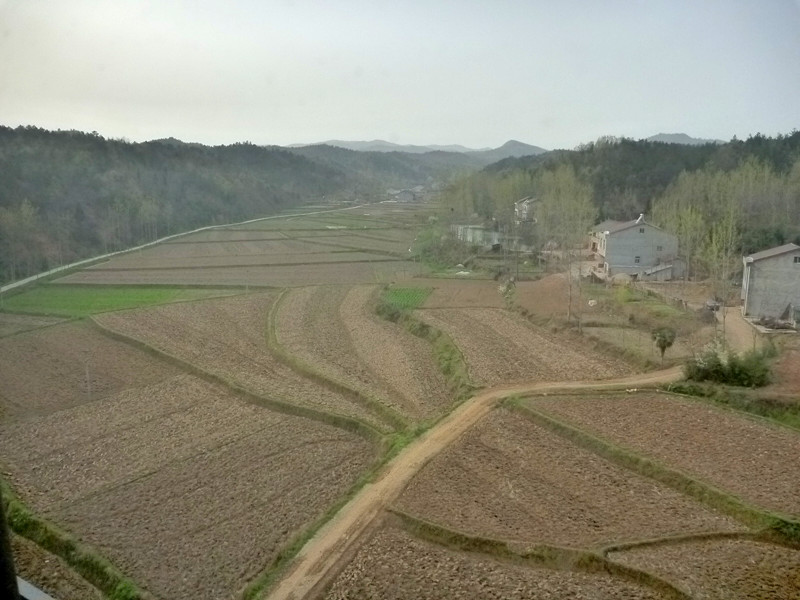 p1110275_.jpg