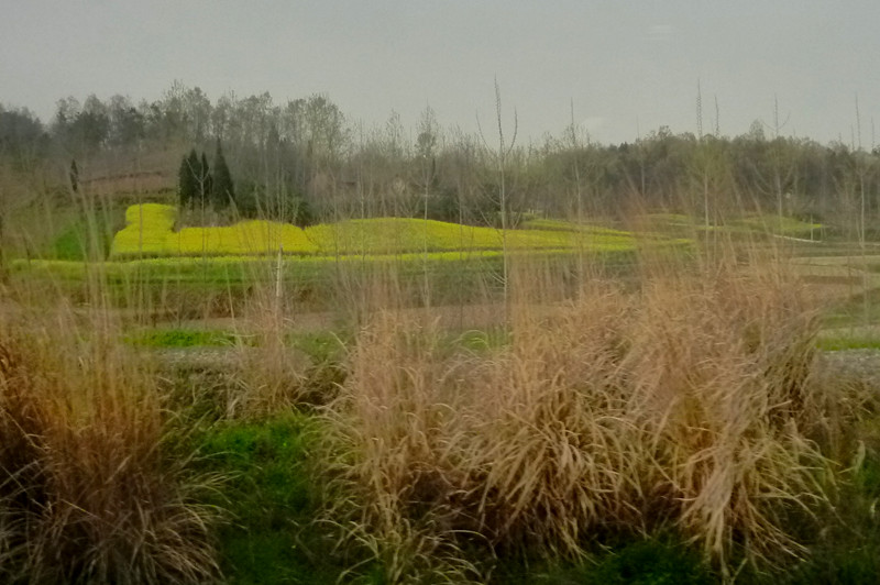 p1110280_.jpg
