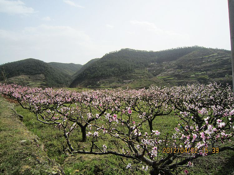neo_img_img_3411.jpg