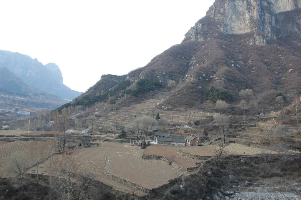 img_8957.jpg