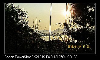 neo_img_img_1358.jpg