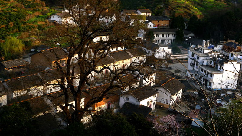 p1080842.jpg