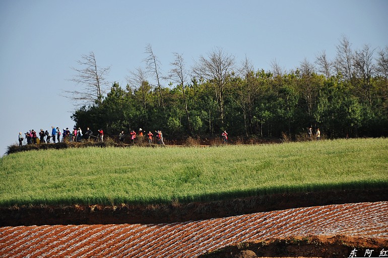 dsc_0211.jpg