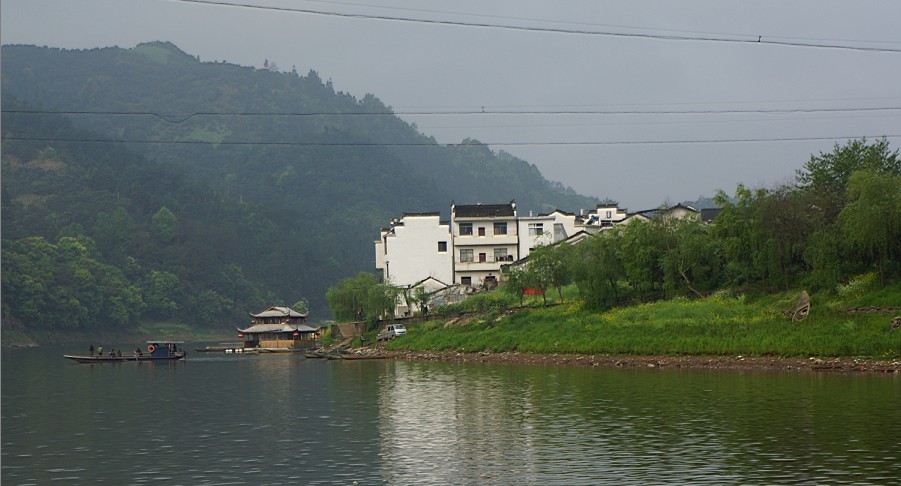 113.jpg