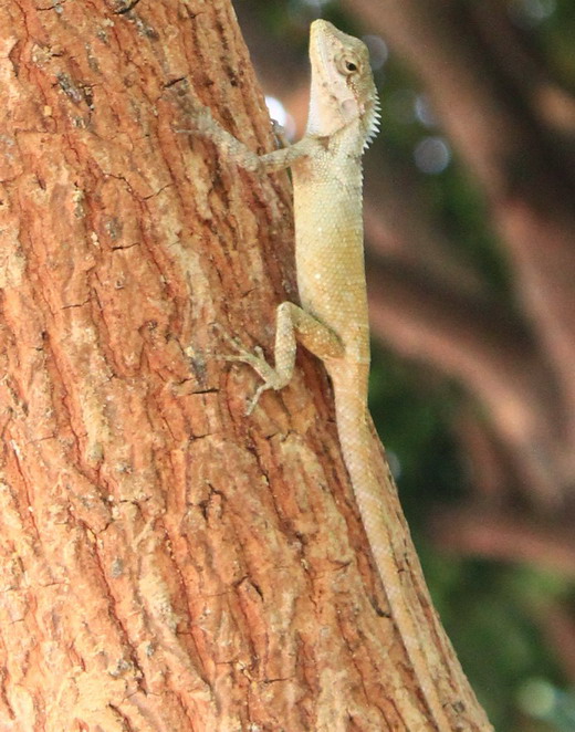  img_6813.jpg