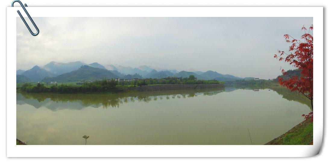 dsc07684_.jpg